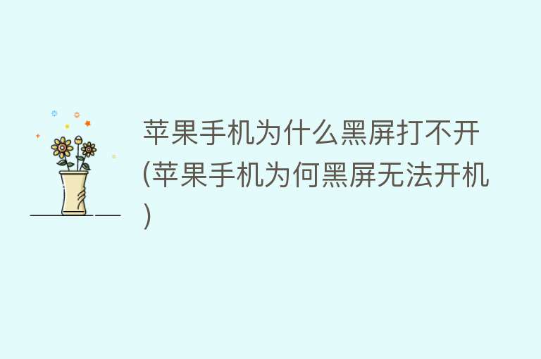 蘋果手機為什么黑屏