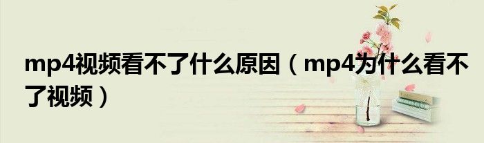 為什么看不了視頻