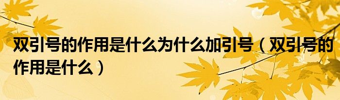 為什么加引號(hào)