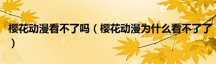 為什么看不了了