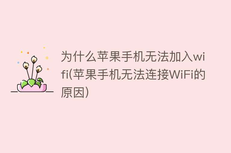 為什么手機(jī)無(wú)法連接wifi