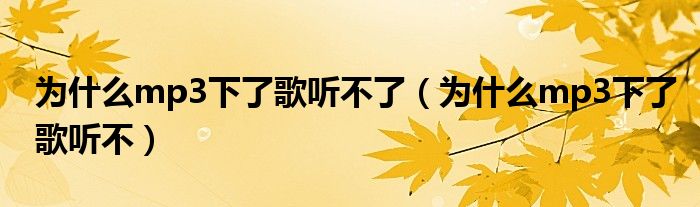 為什么沒(méi)有音樂(lè)
