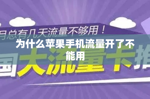 為什么手機流量用不了