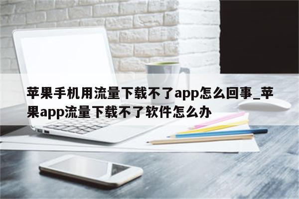 為什么手機流量用不了